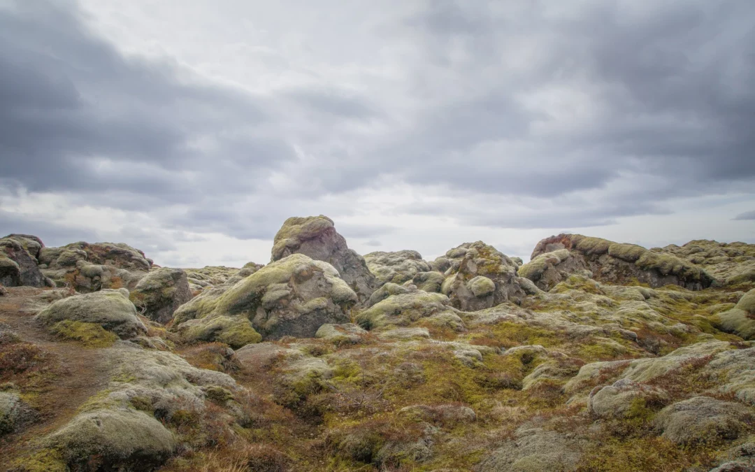 Hagnýtar upplýsingar um landnýtingu og loftslag