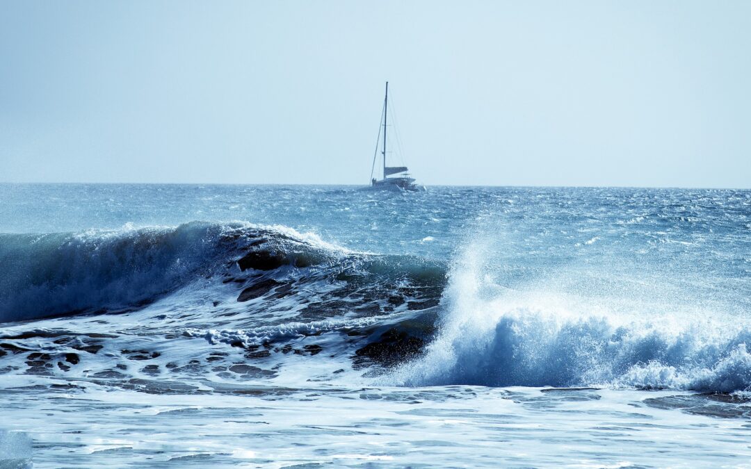 Dómstólar og ábyrgð ríkja á loftslagsbreytingum